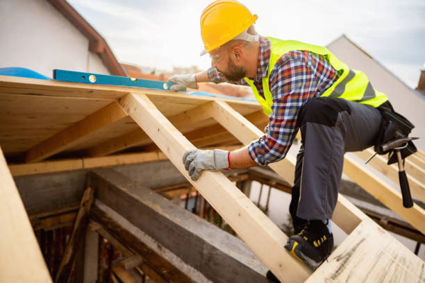 Best Roof Gutter Cleaning  in Conway, SC
